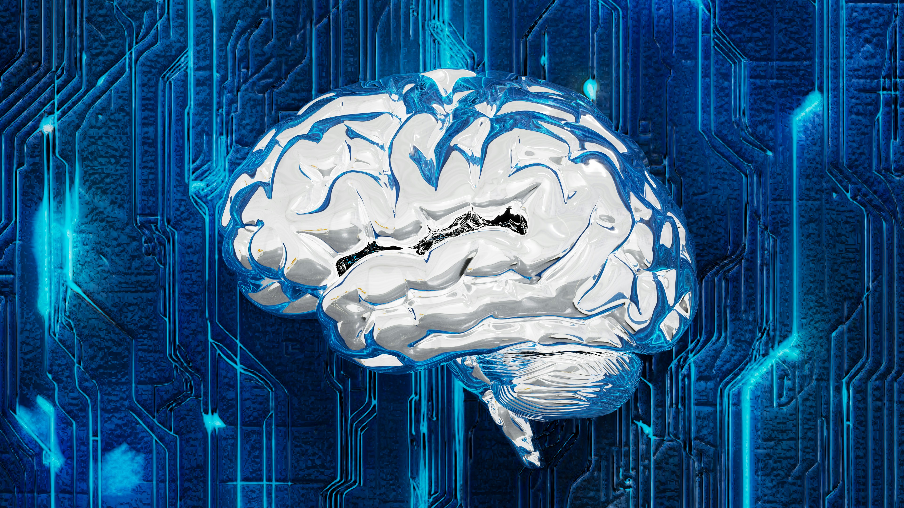 brain image